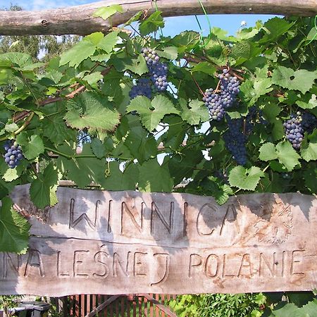 Winnica Na Lesnej Polanie Zabor Exterior foto
